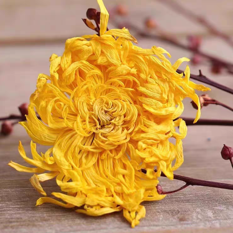 金丝皇菊，菊花茶