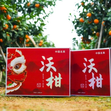 广西武鸣沃柑产地直发/支持一件代发/全程托管