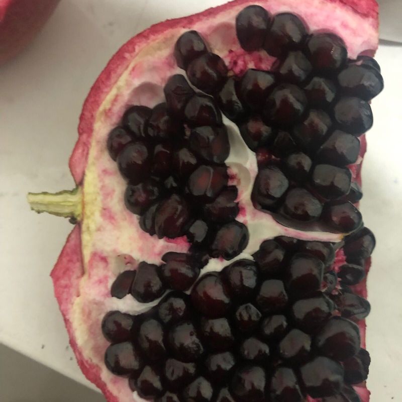 无籽黑石榴树苗，石榴树苗，假一赔十，基地直发，保证品种，