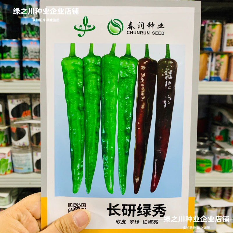 长研绿秀辣椒种子口感型牛角椒种子辣味适中质脆好吃辣椒品种