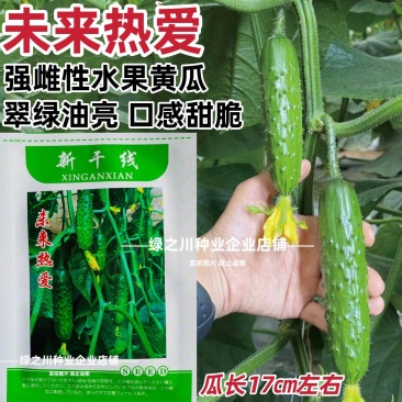 新干线未来热爱黄瓜种子脆甜强雌性水果黄瓜种籽甜脆油亮抗病