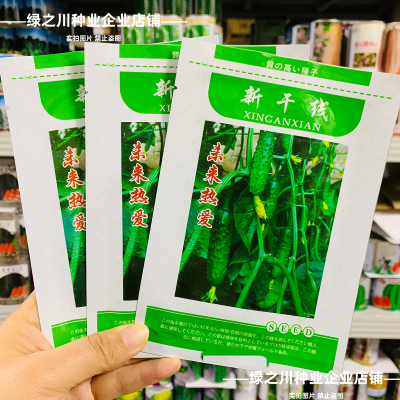 新干线未来热爱黄瓜种子脆甜强雌性水果黄瓜种籽甜脆油亮抗病
