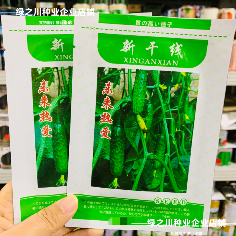 新干线未来热爱黄瓜种子脆甜强雌性水果黄瓜种籽甜脆油亮抗病