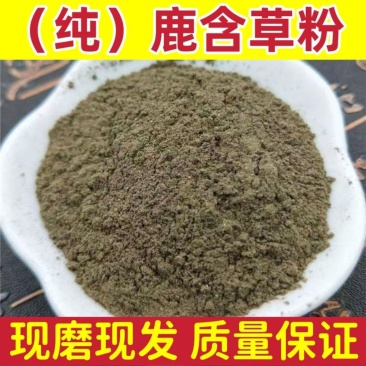 中药材鹿衔草粉鹿蹄草粉鹿含草粉超细粉