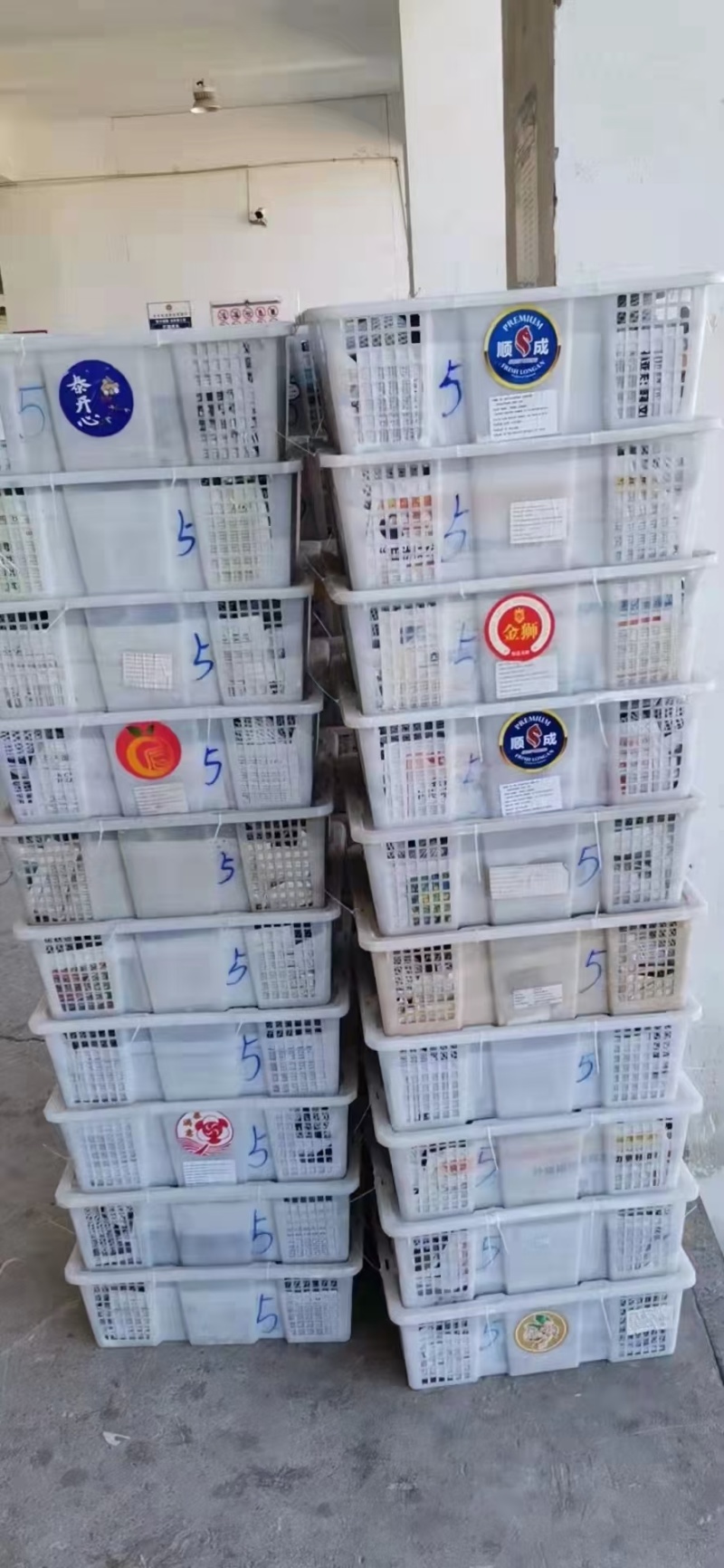 无花果基地全年有货分布在四川云南广东空运代理