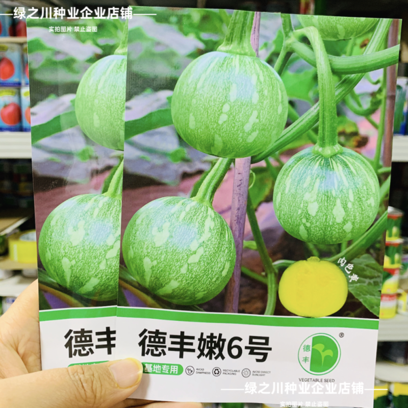 德丰嫩6号嫩南瓜种子一串铃南瓜种子黄肉一串玲小南瓜籽早熟