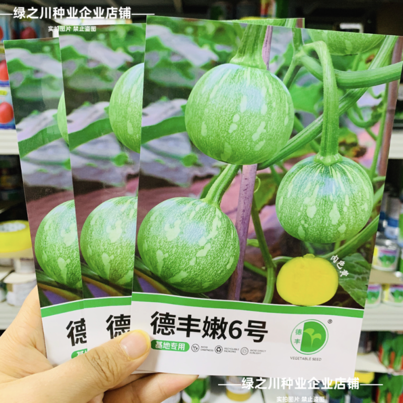 德丰嫩6号嫩南瓜种子一串铃南瓜种子黄肉一串玲小南瓜籽早熟
