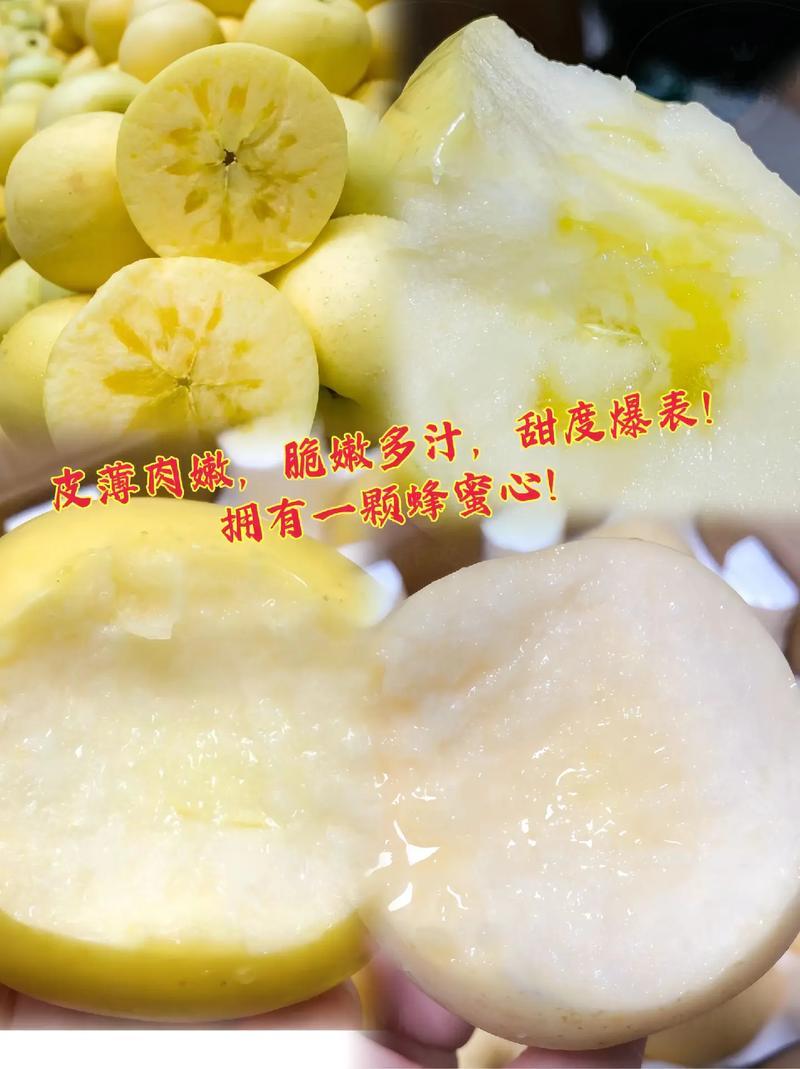 山东烟台奶油苹果新鲜水果4.5斤9斤酥脆黄色苹果脆甜