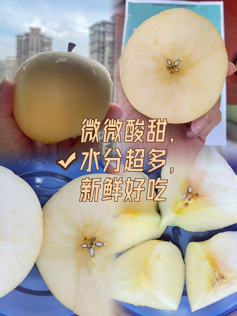 山东烟台奶油苹果新鲜水果4.5斤9斤酥脆黄色苹果脆甜