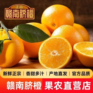 赣南脐橙电商一件代发，专业平台代发