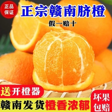 赣南脐橙各大平台一件代发，社区