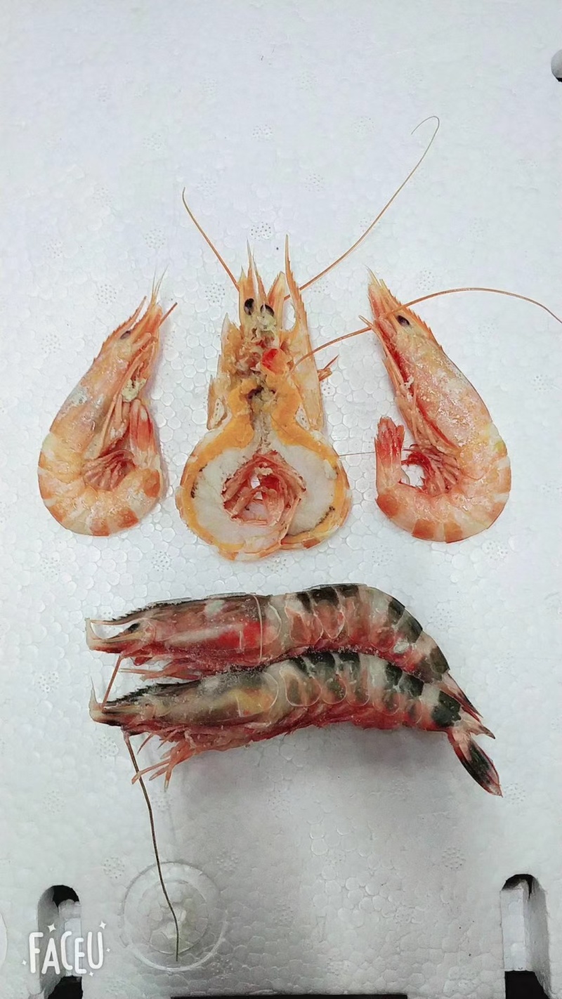下单咨询运费，一斤盒装竹节虾，一箱20盒