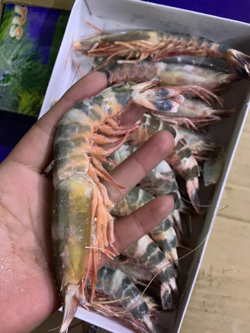 下单咨询运费，一斤盒装竹节虾，一箱20盒