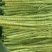 铁棍山药大货，二货，切片货，火烧头，渣子，欢迎惠顾