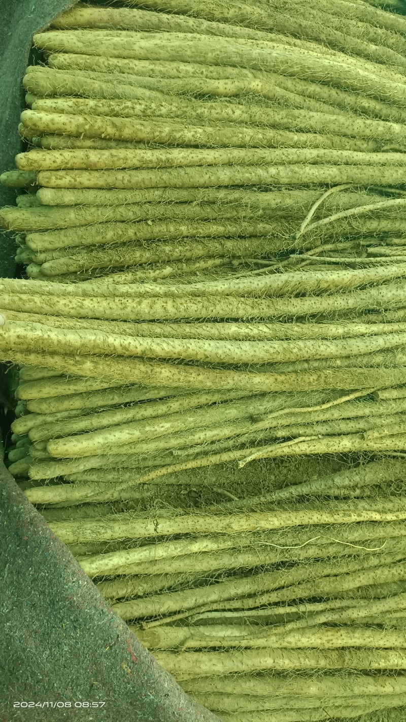 铁棍山药大货，二货，切片货，火烧头，渣子，欢迎惠顾