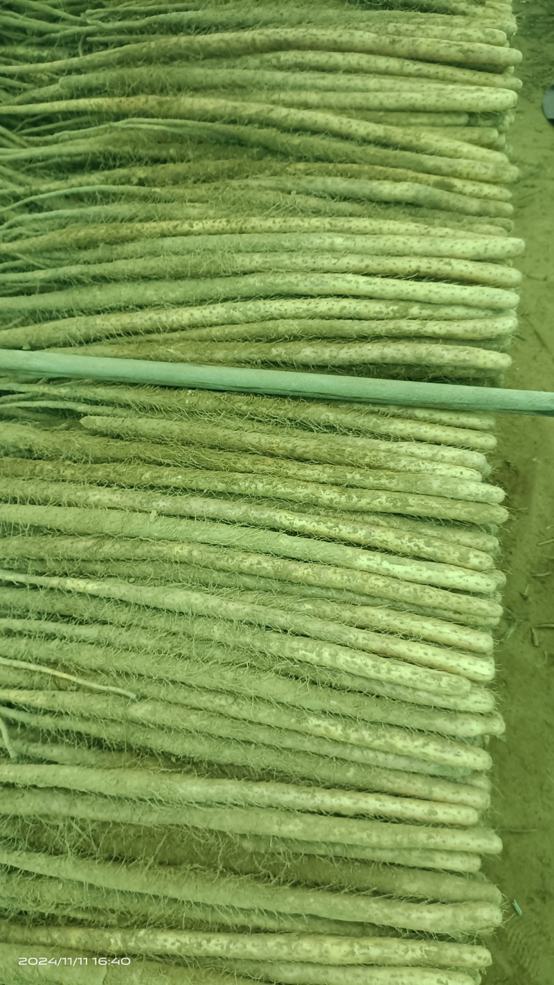 铁棍山药大货，二货，切片货，火烧头，渣子，欢迎惠顾