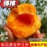 杏树苗，帝王杏树苗，签约合同种植，基地直发，保证品种
