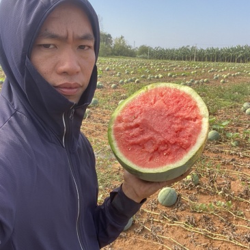 无籽西瓜🍉，大量有货，产地直销