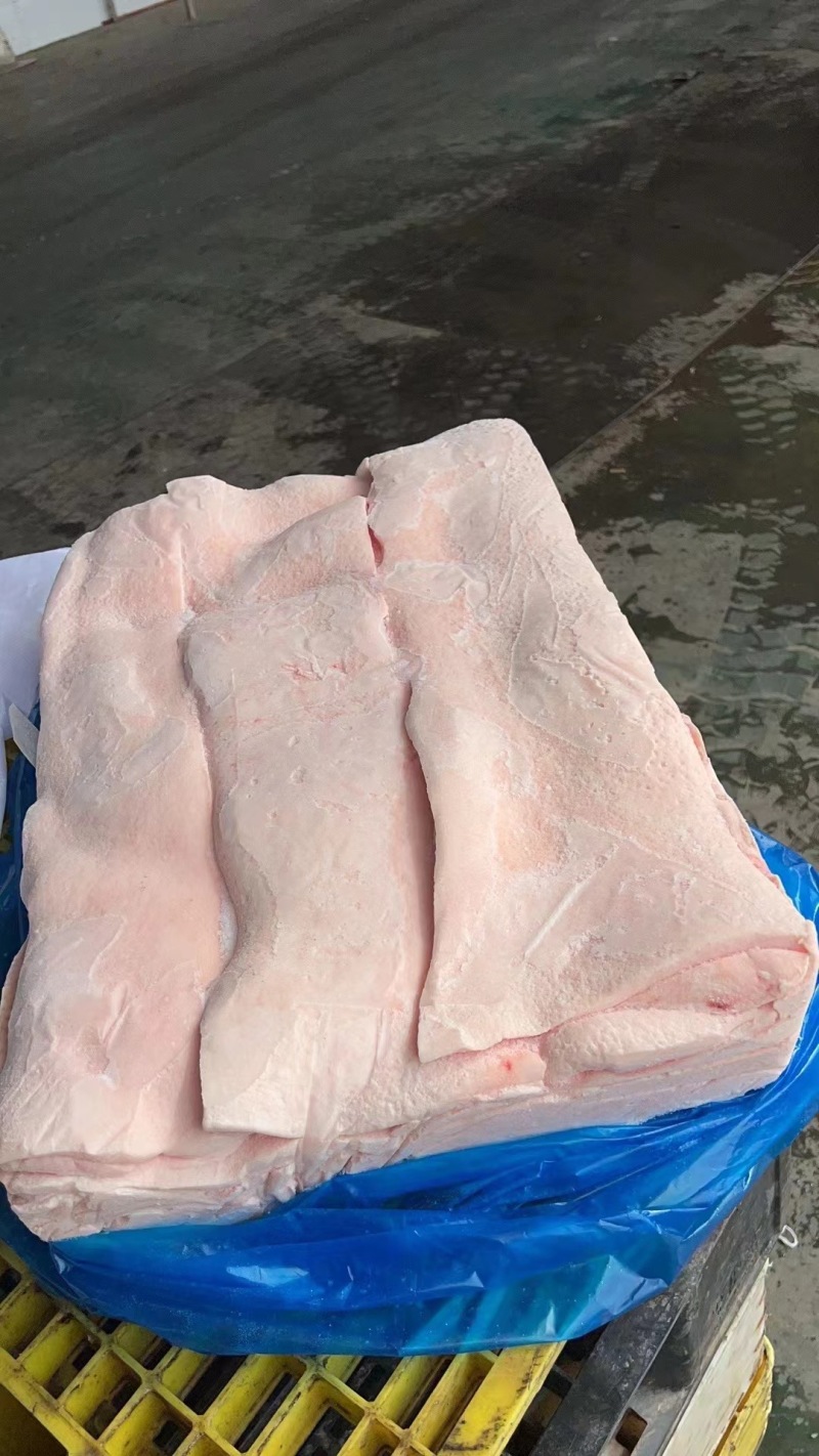 肥膘猪肥膘脊膘油