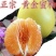 柚子树苗，黄金蜜柚树苗，基地直发保证品种，保证成活