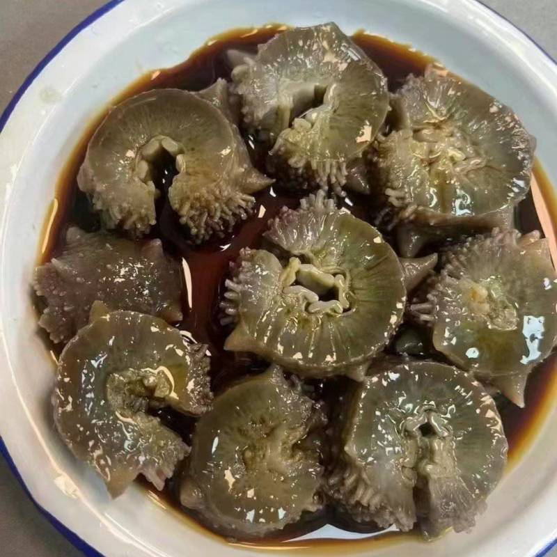 冷冻鲜食海参，冷冻装加热即食，海参，大连海参辽刺参