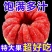 红心柚子树苗，基地直发，实地考察，保证品种，保证成活