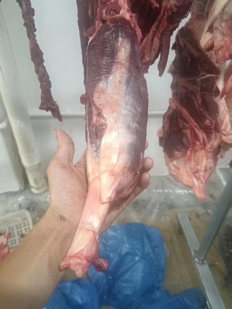 新鲜牛肉批发