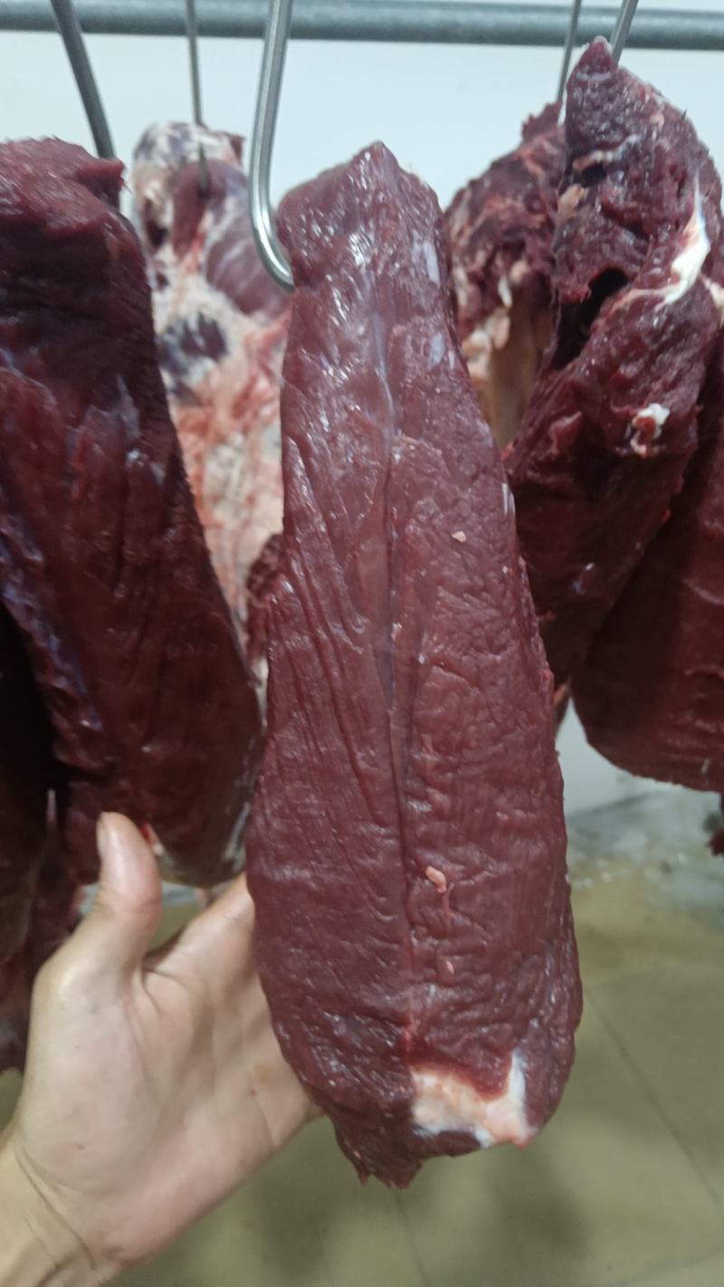 新鲜牛肉批发