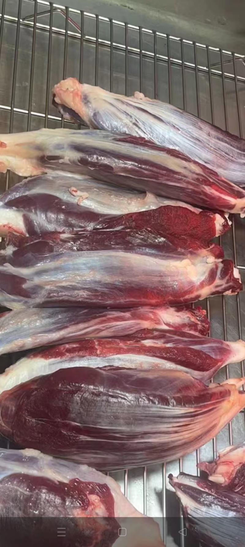 新鲜牛肉批发