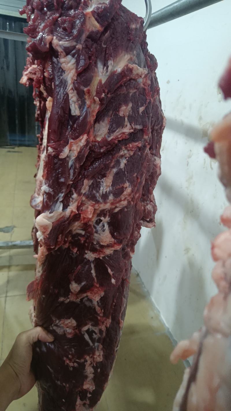 新鲜牛肉批发