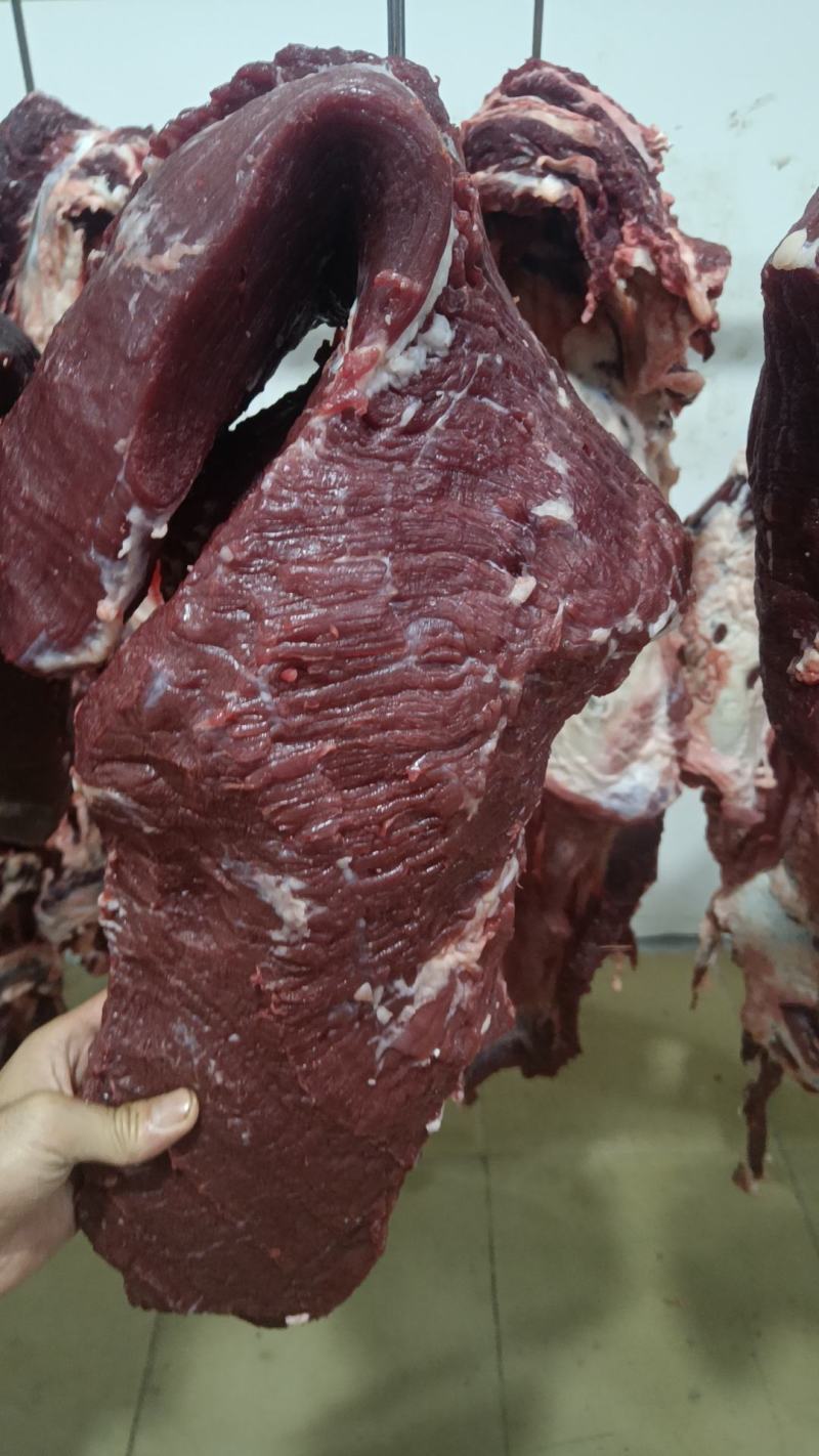 新鲜牛肉批发