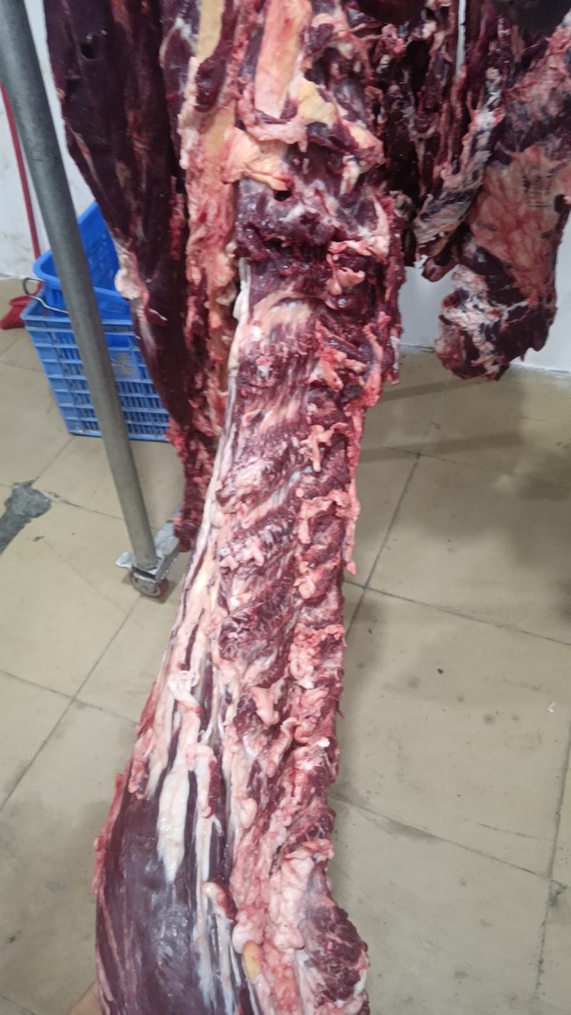 新鲜牛肉批发