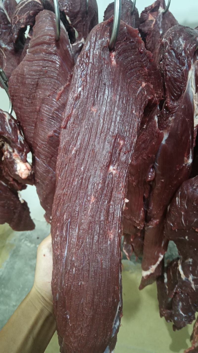 新鲜牛肉批发