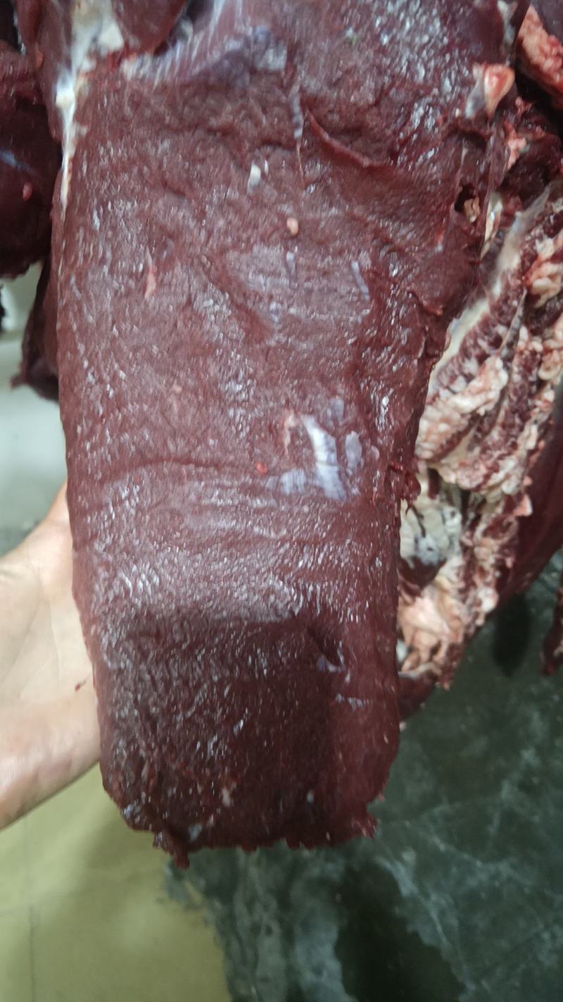 新鲜牛肉批发