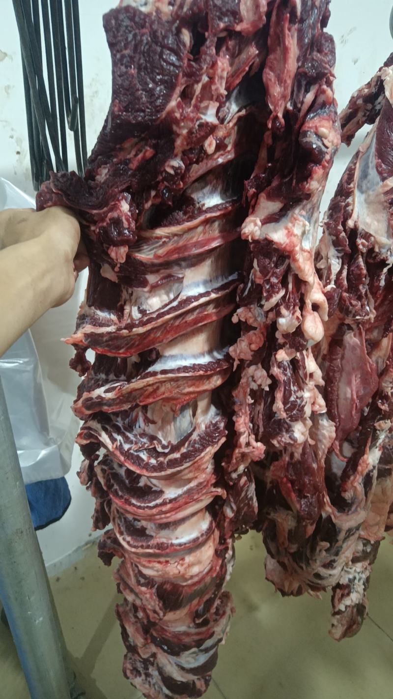 新鲜牛肉批发