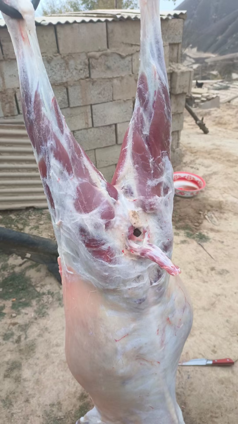 纯放养山羊羔子肉跑山羊肉质鲜美新鲜发货