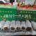 正宗昭通乌天麻假一赔十
