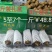 正宗昭通乌天麻假一赔十