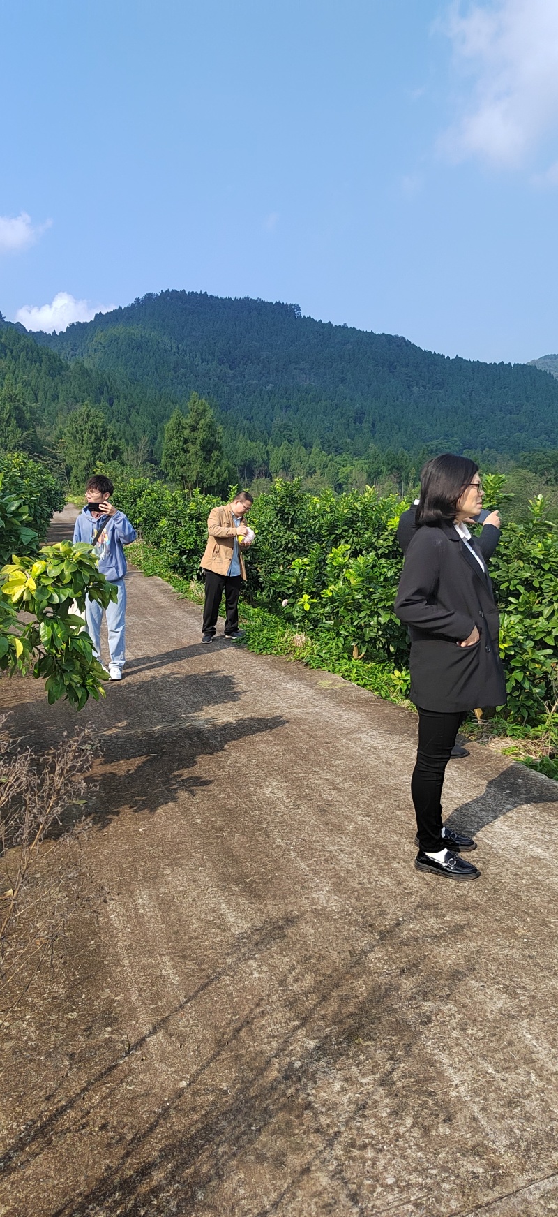 红心蜜柚，不套袋，自然熟