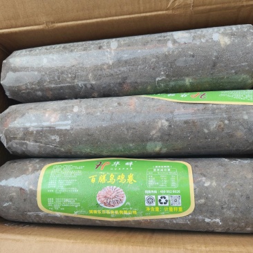 乌鸡卷，大量现货，30送1