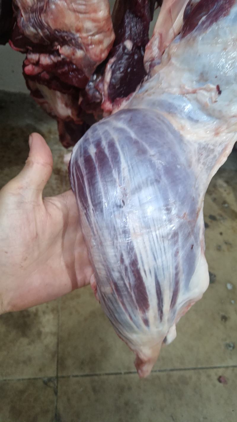 鲜牛肉批发