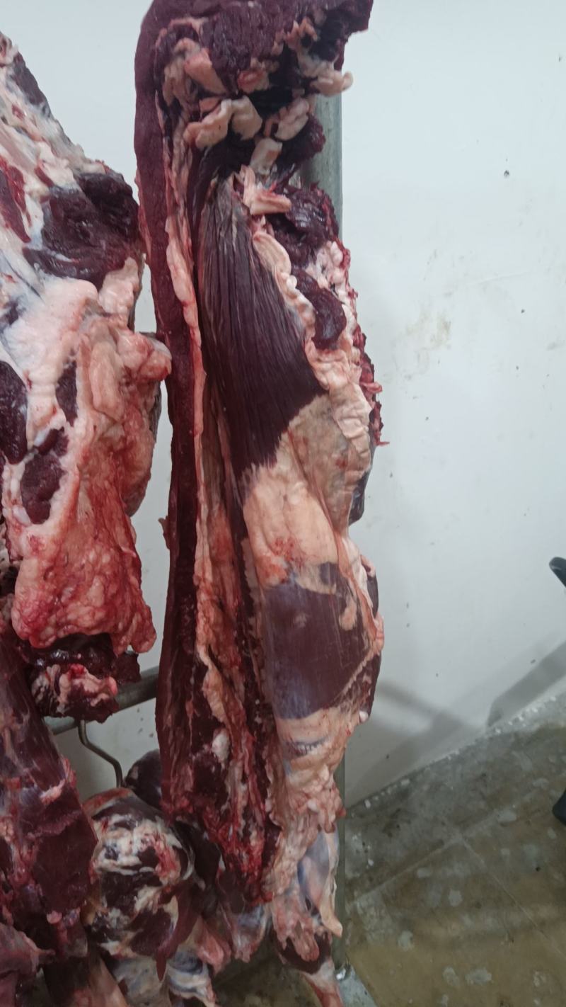 鲜牛肉批发