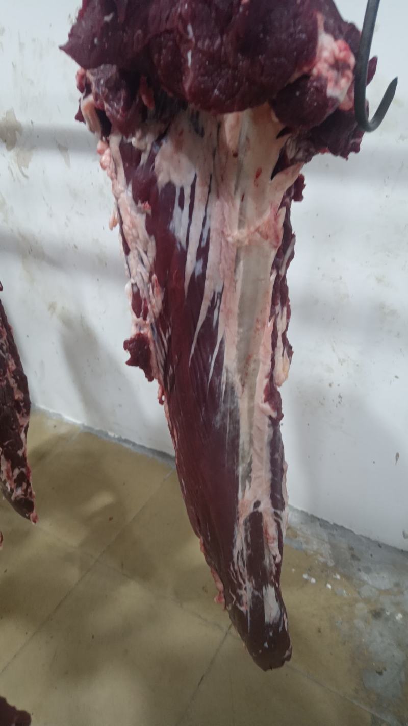 鲜牛肉批发