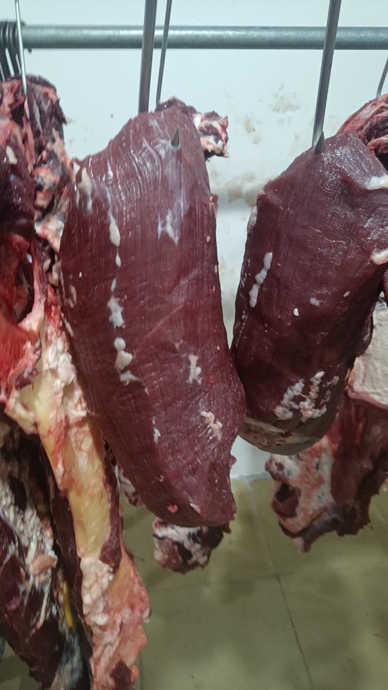 鲜牛肉批发