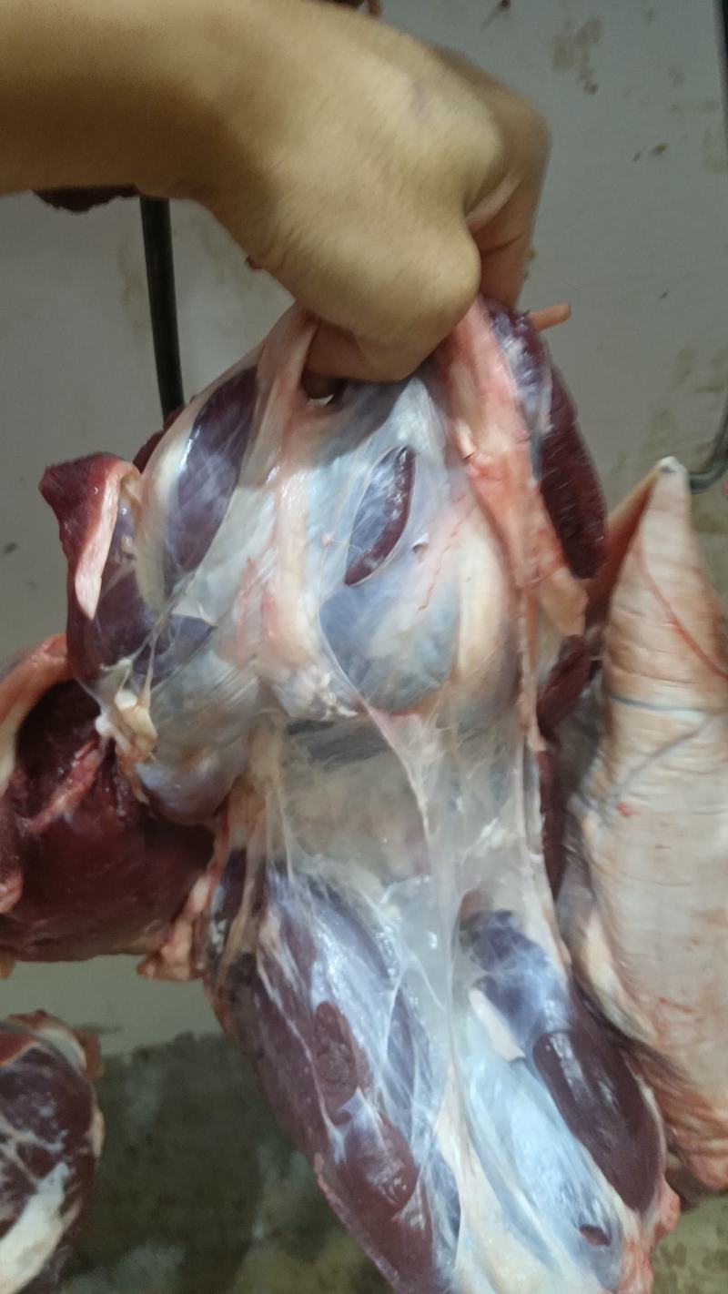 鲜牛肉批发