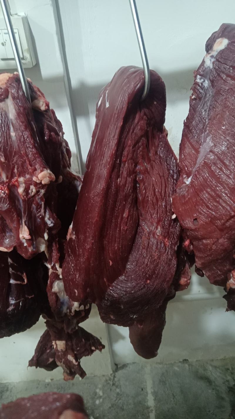 鲜牛肉批发