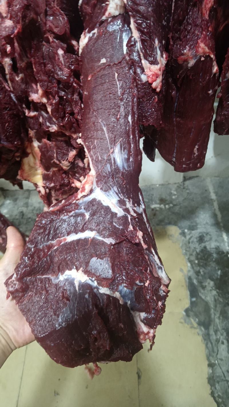 鲜牛肉批发