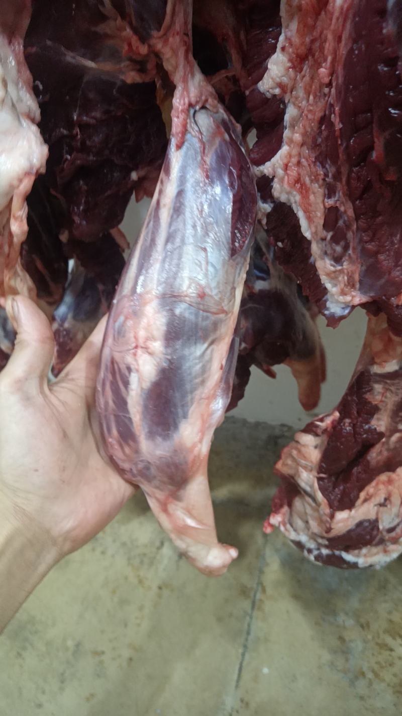 鲜牛肉批发