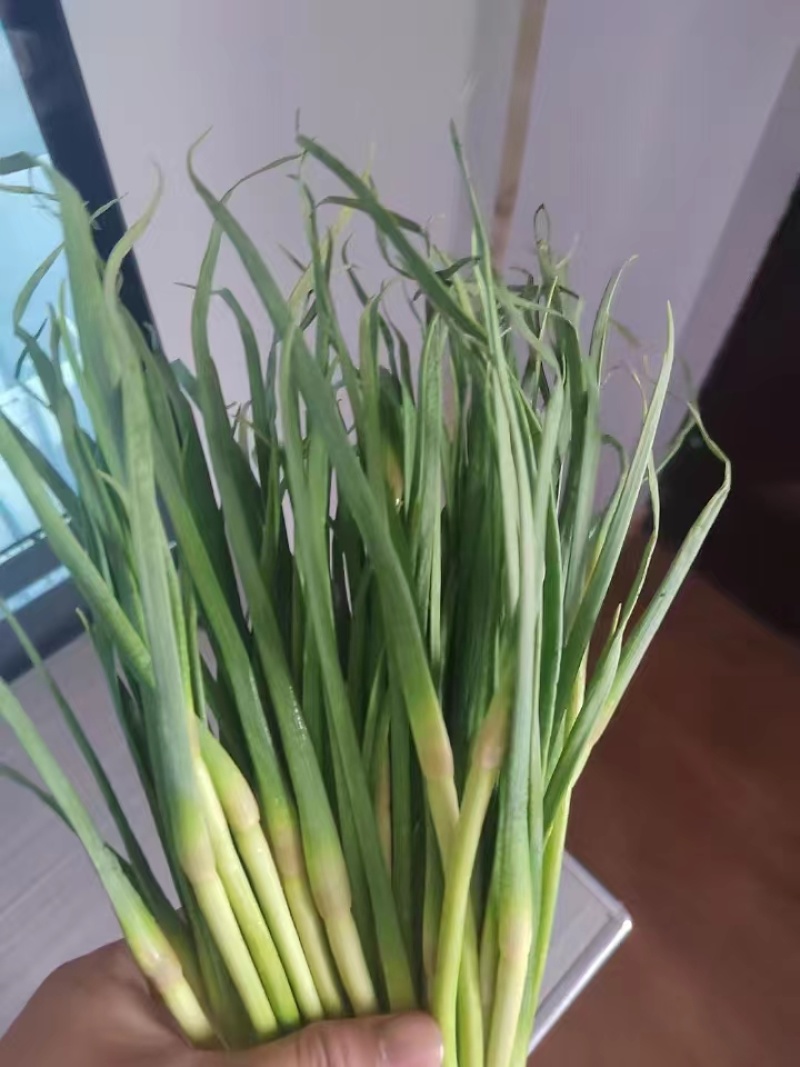 现货现发，量大从优，大量供应，有需要的老板欢迎实地考察