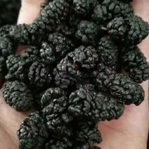 桑椹干，黑桑椹干干净无沙基地直发！